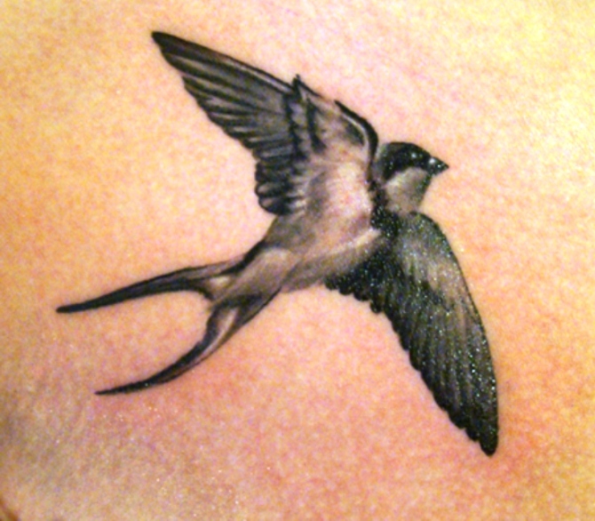 Swallow Tattoo