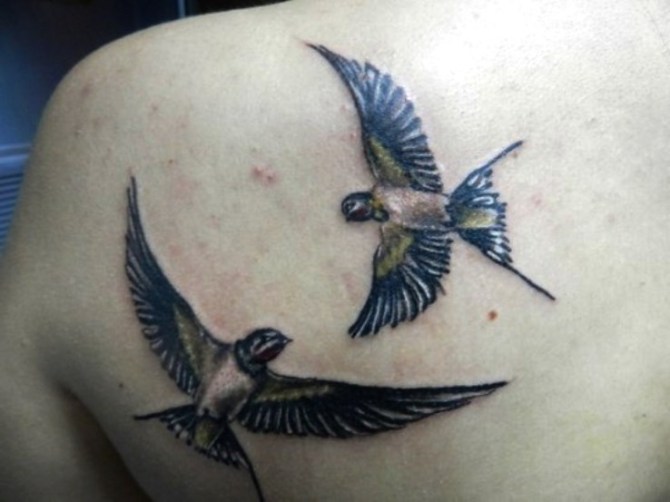 Swallow Tattoo on Shoulder Blade