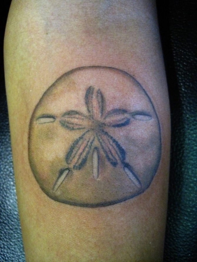 Sand Dollar Tattoo Designs