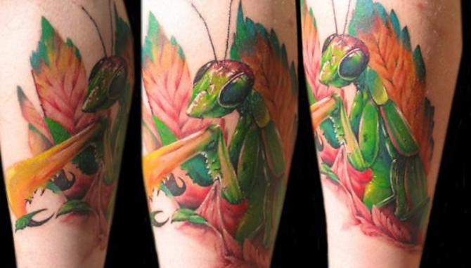 Mantis Tattoo - Mantis Tattoos