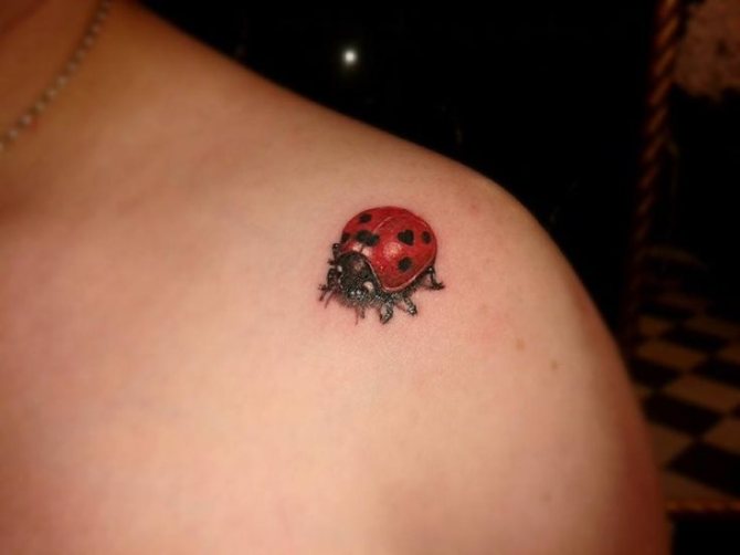 Tattoo Ladybug Meaning - Ladybug Tattoos <3 <3