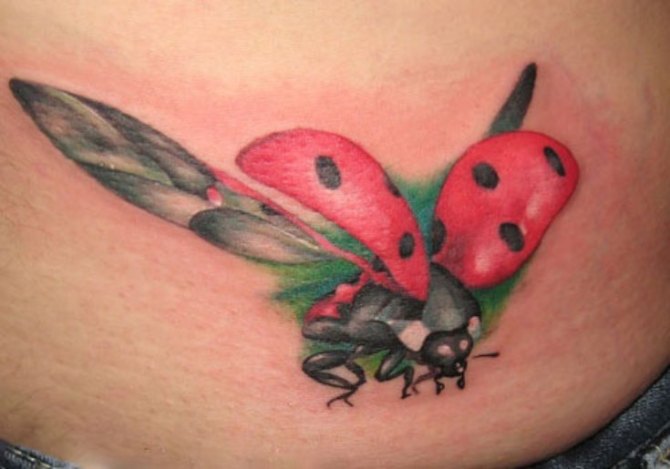  Ladybug Tattoo - Ladybug Tattoos <3 <3