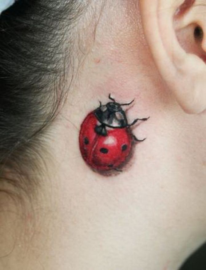 Ladybug Tattoo Sketch - Ladybug Tattoos <3 <3