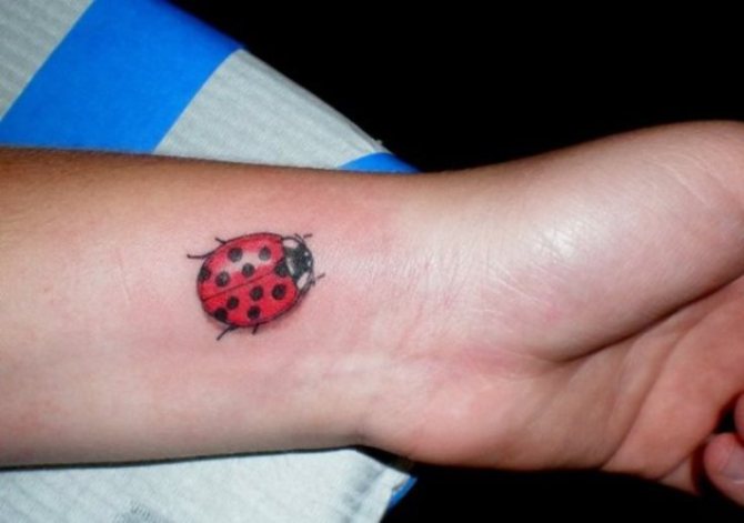 Ladybug Tattoo on Wrist - Ladybug Tattoos <3 <3