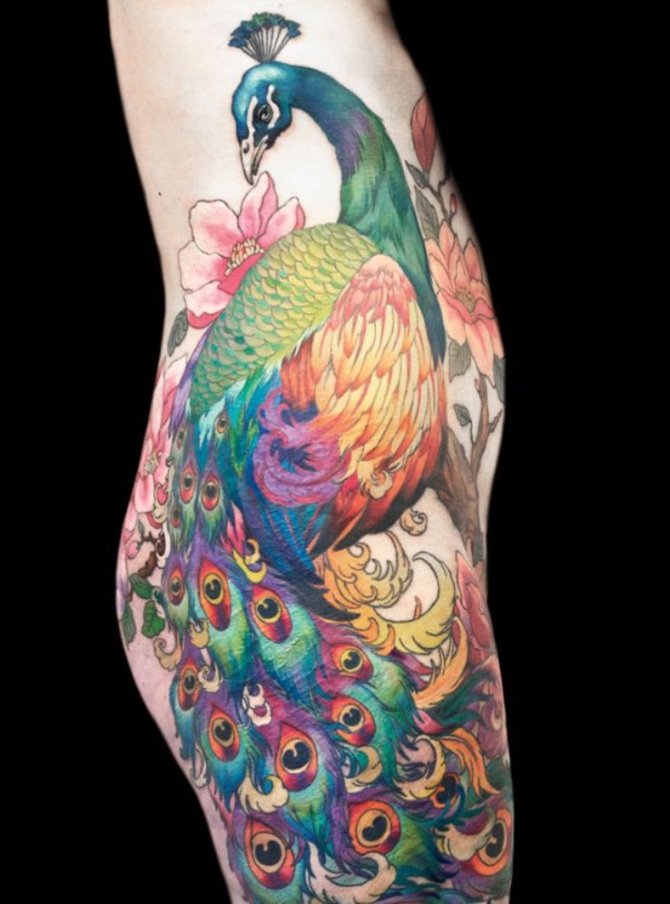  Peacock Hip Tattoo - Peacock Tattoos <3 <3