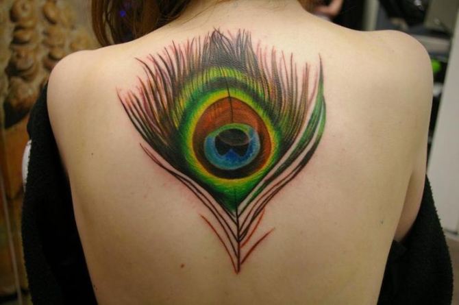  Peacock Feather Tattoo - Peacock Tattoos <3 <3