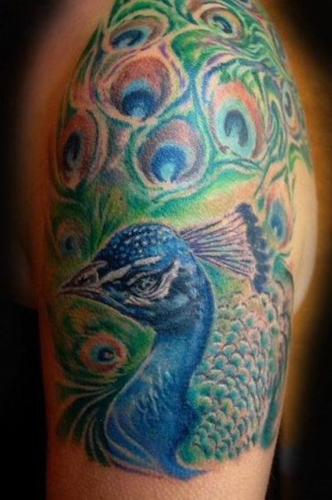  Peacock Tattoo on Arm - Peacock Tattoos <3 <3