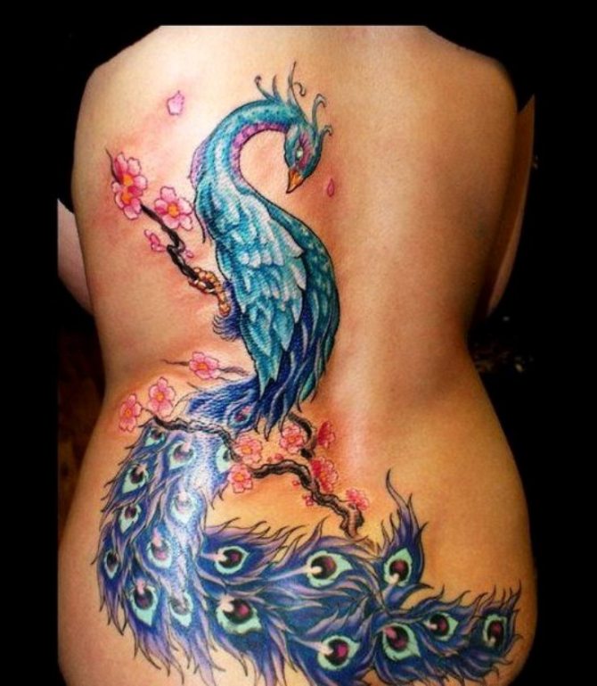 Peacock Tattoo - Peacock Tattoos <3 <3