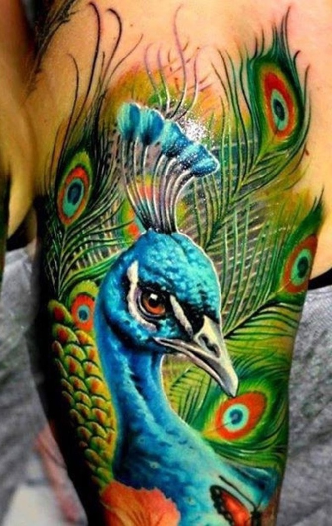 Peacock Tattoo - Peacock Tattoos <3 <3