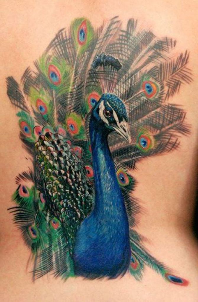 Peacock Tattoo Meaning - Peacock Tattoos <3 <3