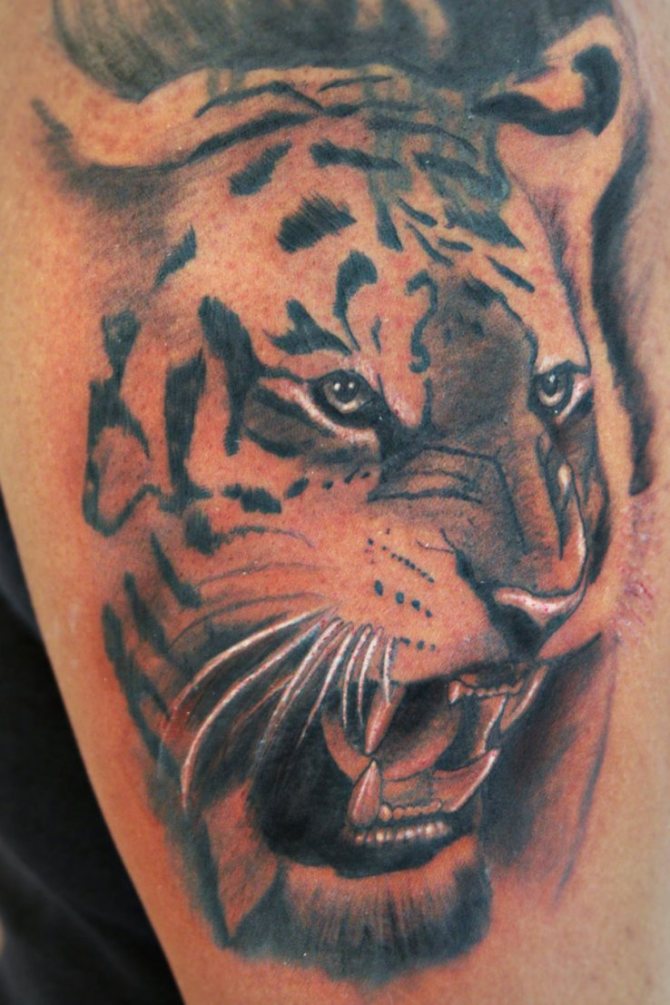 Bengal Tattoo - 40 Tiger Tattoos <3 <3