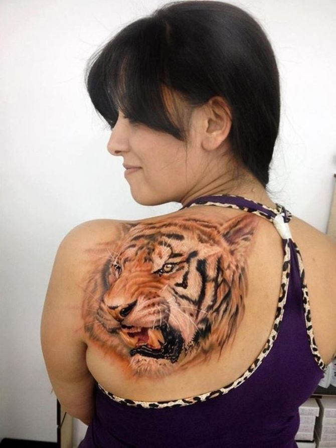 Tiger Drawing Tattoo - 40 Tiger Tattoos <3 <3