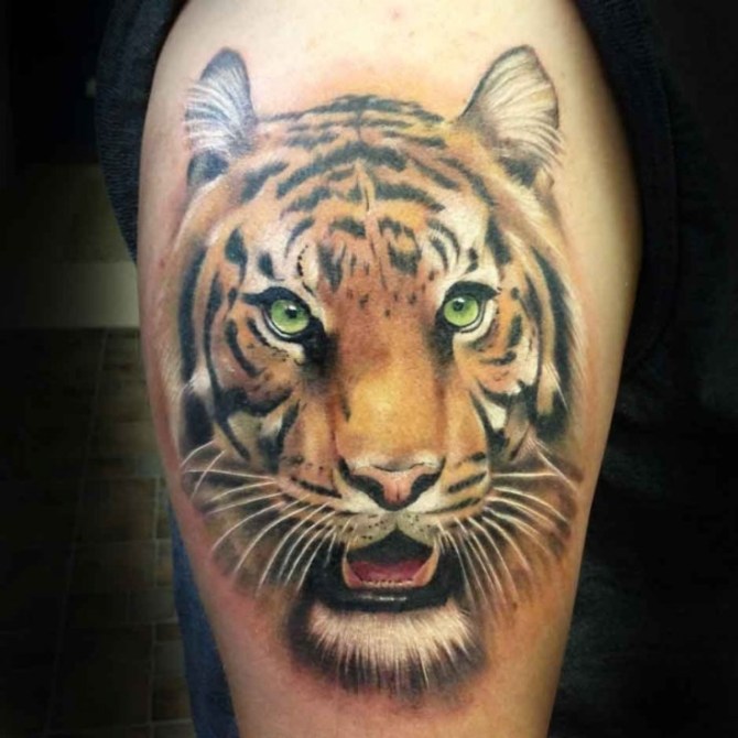 Tattoo on Leg Male - 40 Tiger Tattoos <3 <3