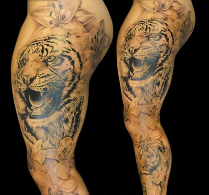 Tiger Tattoo on Leg - 40 Tiger Tattoos <3 <3