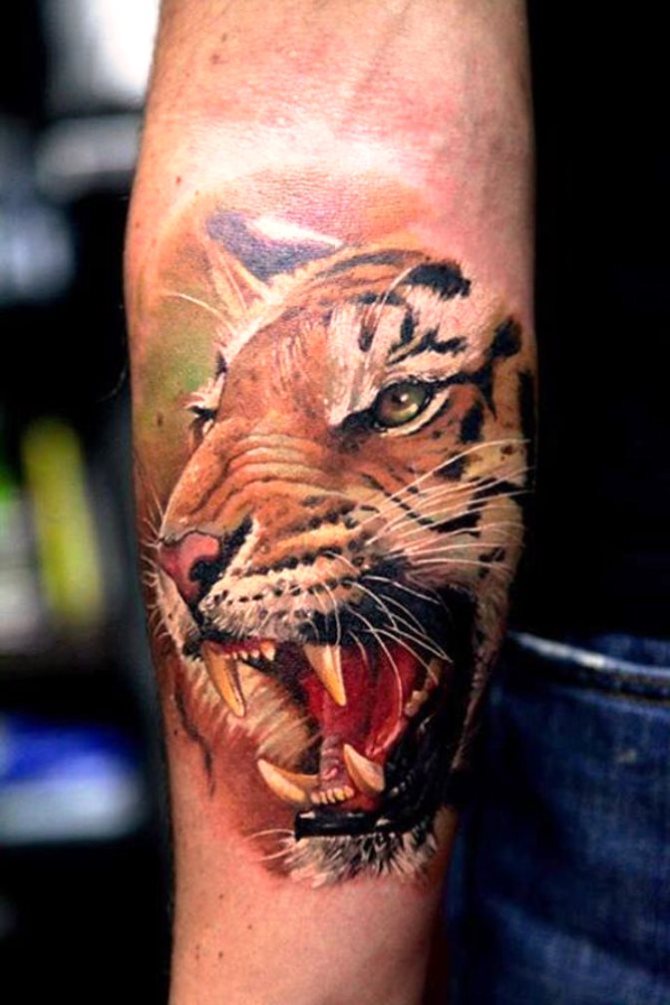 Tiger Tattoo on his Leg - 40 Tiger Tattoos <3 <3