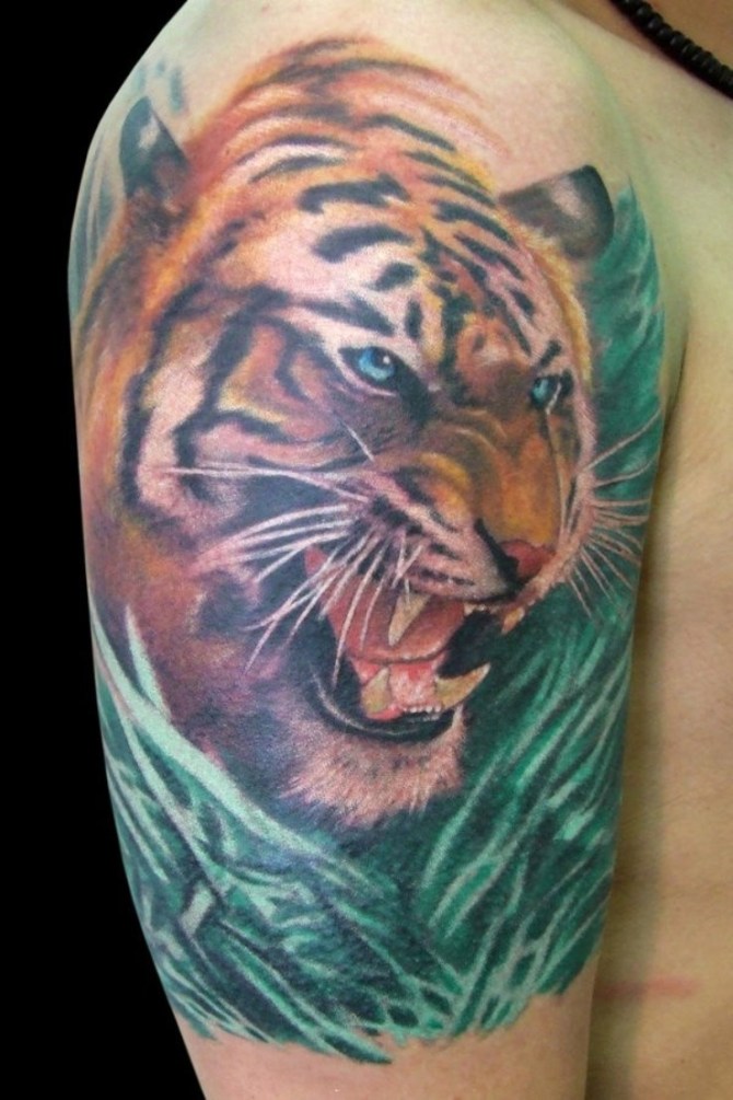 Tiger Tattoo on Shoulder - 40 Tiger Tattoos <3 <3