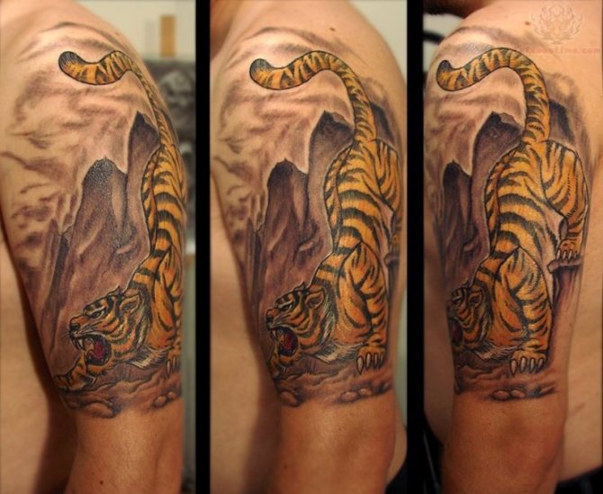  Tiger Half Sleeve Tattoo - 40 Tiger Tattoos <3 <3