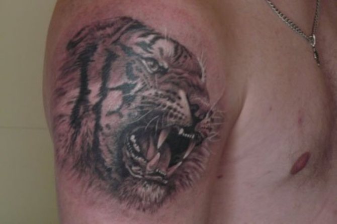 Tattoo on Shoulder Men - 40 Tiger Tattoos <3 <3