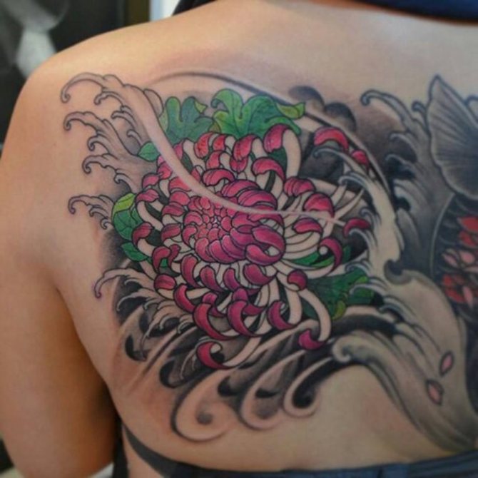 Chrisanthemum Tattoo - Chrysanthemum Flower Tattoos