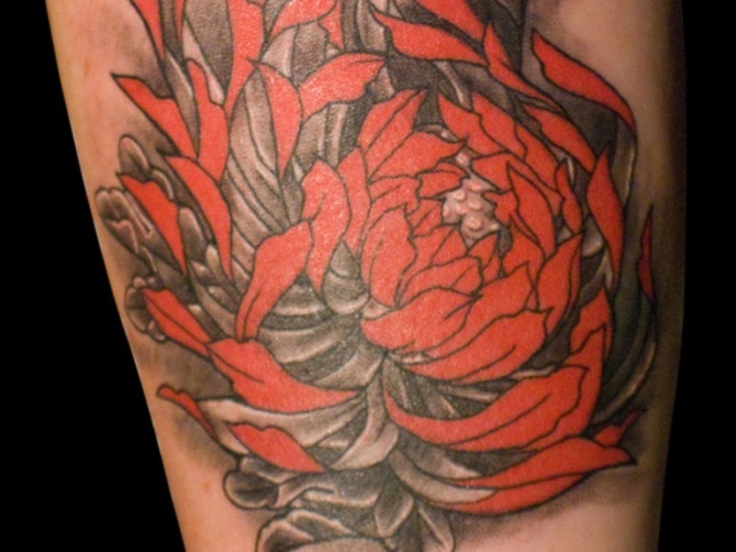 Chrysanthemum Tattoo - Chrysanthemum Flower Tattoos