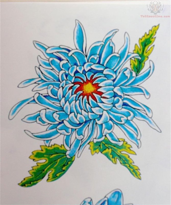  Japanese Chrysanthemum Tattoo Design - Chrysanthemum Flower Tattoos