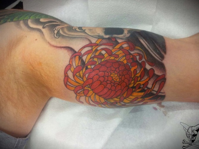  Chrysanthemums Tattoo - Chrysanthemum Flower Tattoos