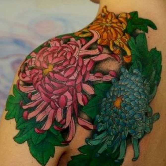  Japanese Chrysanthemum Tattoo Design - Chrysanthemum Flower Tattoos