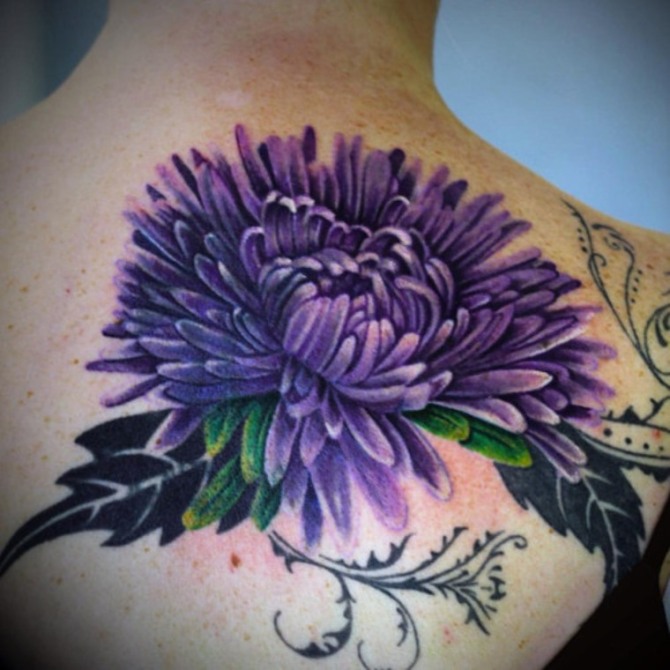  Chrysanthemum Tattoo - Chrysanthemum Flower Tattoos