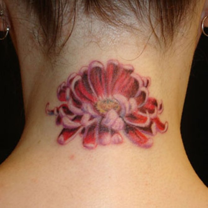 Chrysanthemum Tattoos - Chrysanthemum Flower Tattoos