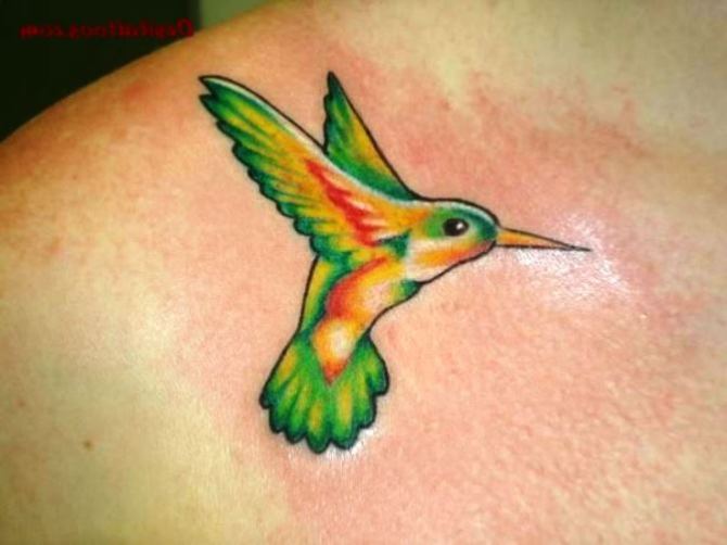 Hummingbird Tattoo - Hummingbird Tattoos <3 <3