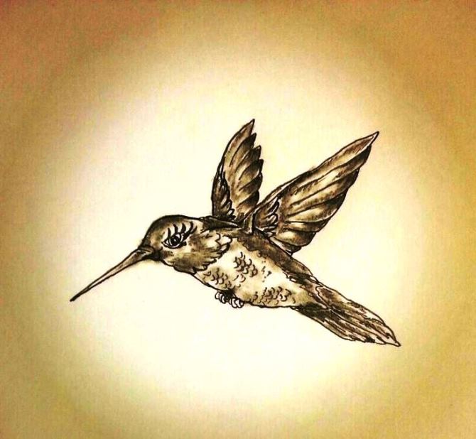  Hummingbird Sketches Tattoo - Hummingbird Tattoos <3 <3