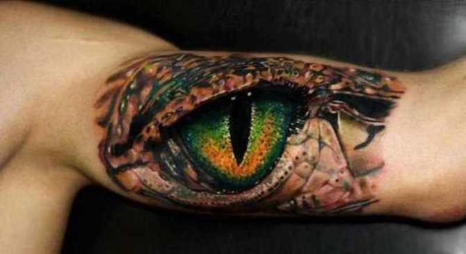 Reptile Tattoo - Crocodile Tattoos <3 <3