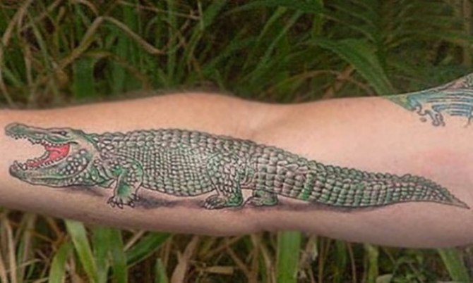 Alligator Tattoo - Crocodile Tattoos <3 <3