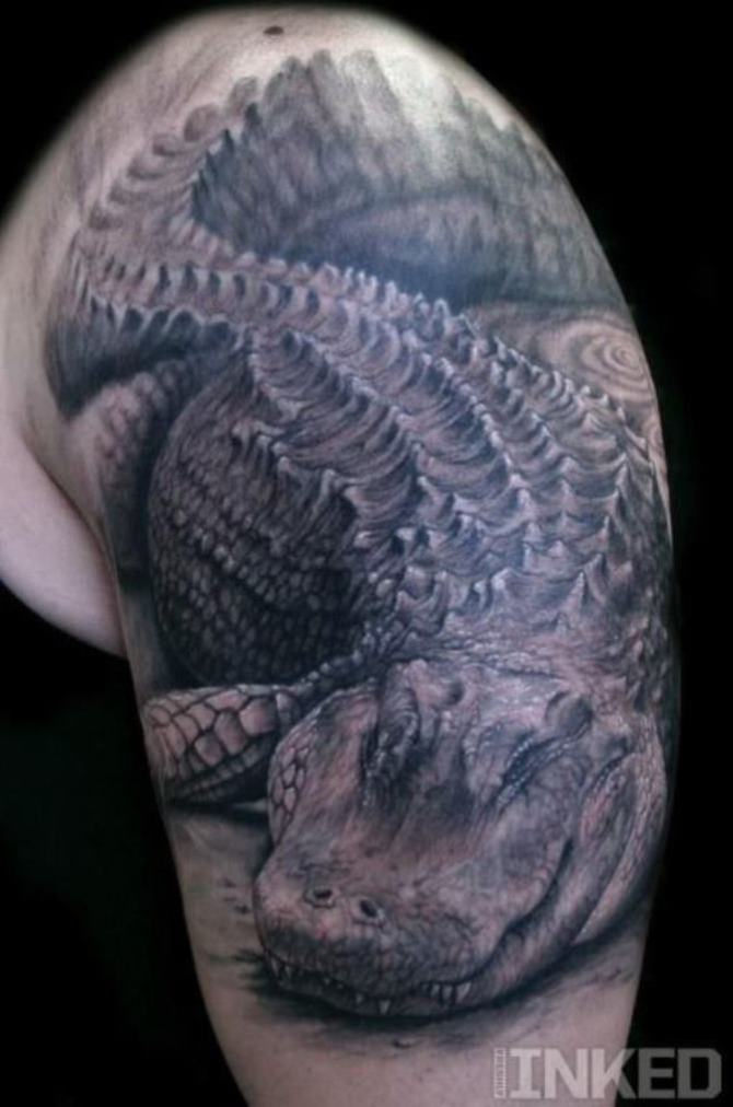 Crocodile Tattoo on Arm - Crocodile Tattoos <3 <3