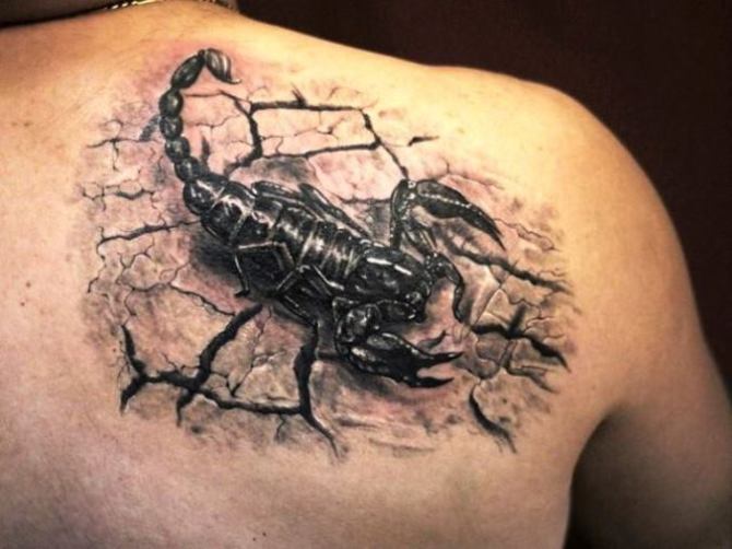  Realistic Scorpion Tattoo Designs - Scorpion Tattoos <3 <3