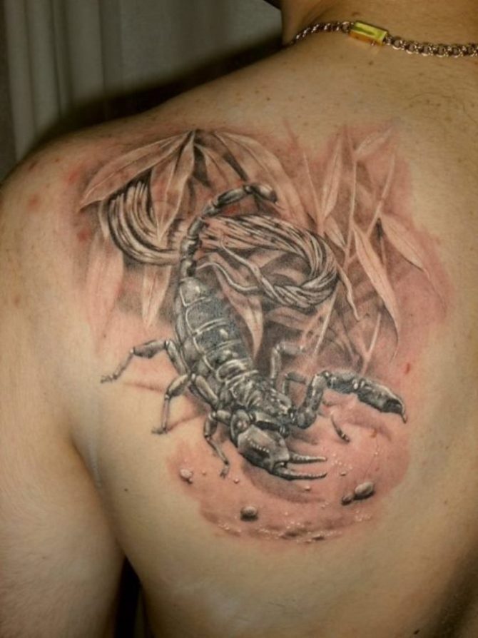 Scorpion Tattoo for Men - Scorpion Tattoos <3 <3