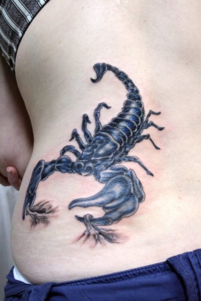 Scorpion Tattoo on Back - Scorpion Tattoos <3 <3