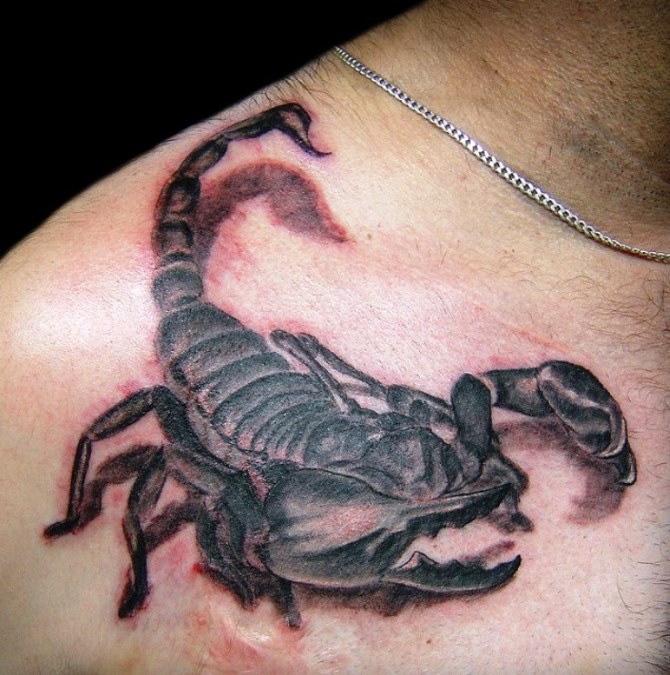 Scorpion Tattoo on Forearm - Scorpion Tattoos <3 <3