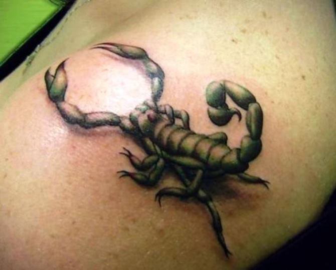 Scorpion Tattoo on Back - Scorpion Tattoos <3 <3