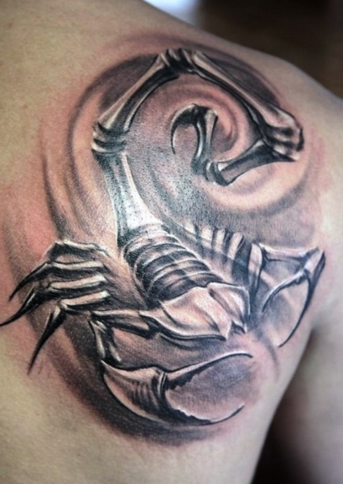  Tattoo Designs Scorpion - Scorpion Tattoos <3 <3