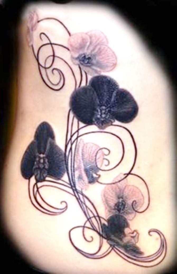 Black Orchid Tattoo Designs - Orchid Tattoos <3 <3