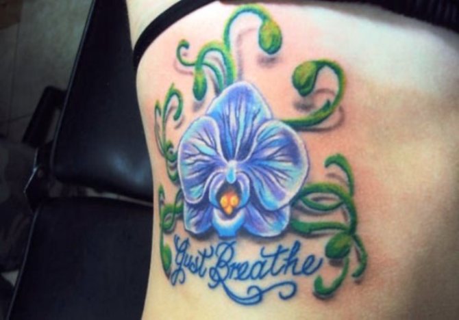 Orchid Tattoos - Orchid Tattoos <3 <3