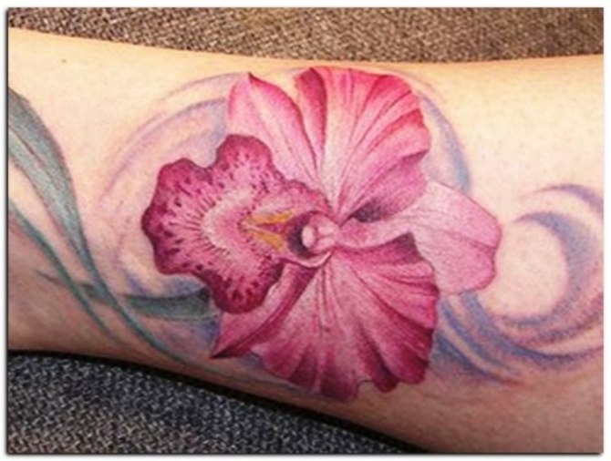 Orchids Tattoo - Orchid Tattoos <3 <3