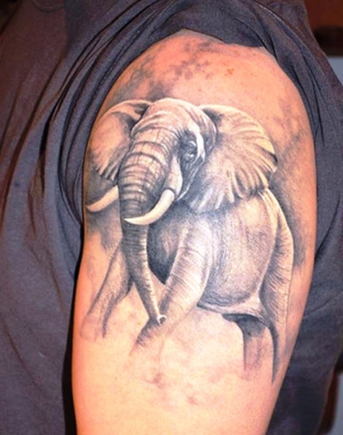 Elephants and Mammoths - Elephant Tattoos <3 <3