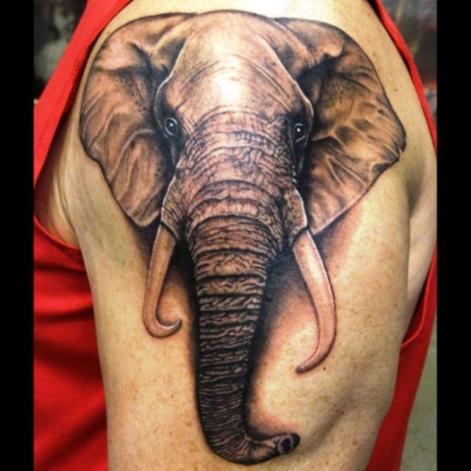  Meaning of Elephant - Elephant Tattoos <3 <3