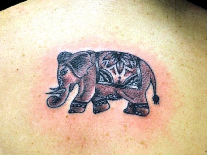 Elephants and Mammoths - Elephant Tattoos <3 <3