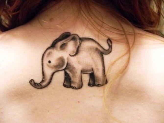 Animal Tattoo - Elephant Tattoos <3 <3