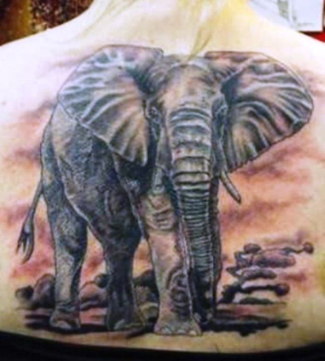  Elephants and Mammoths - Elephant Tattoos <3 <3