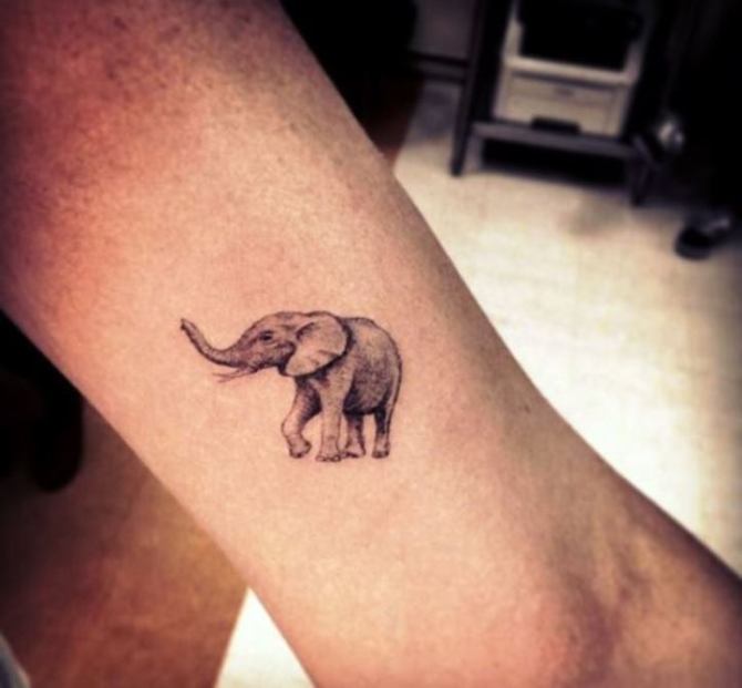 Small Elephant Tattoo Designs - Elephant Tattoos <3 <3