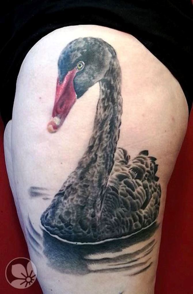 02 Black Swan Lake Tattoo - 25 Swan Tattoos